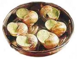 Photo d'escargots de Bourgogne