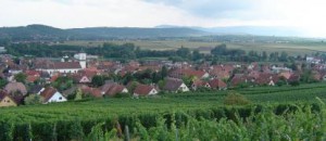 Photo de la route des vins